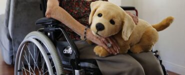 Robotické štěně labradora Jennie