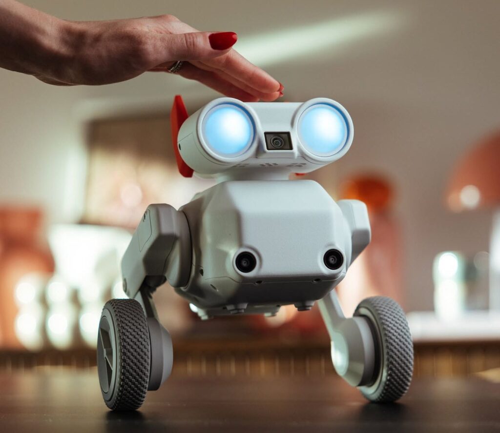 Beni od Mondo Robotics